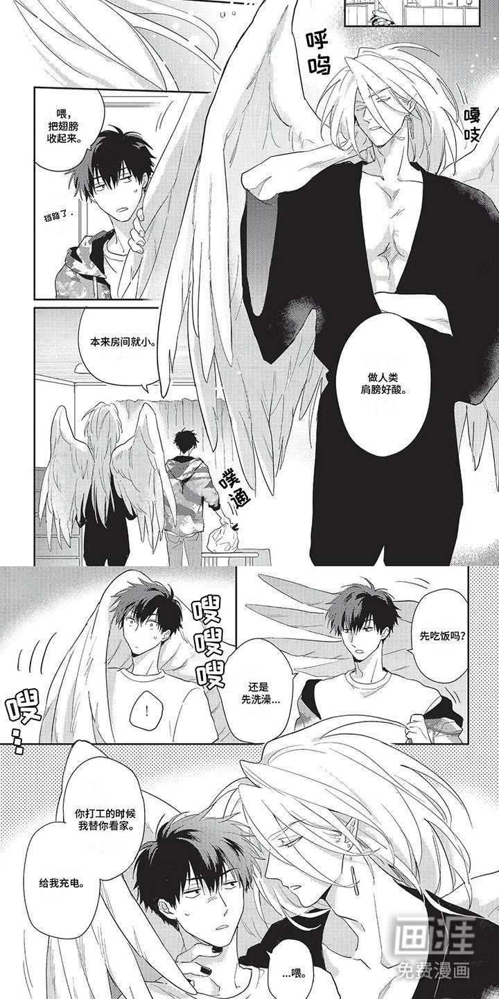 第19章：幻化