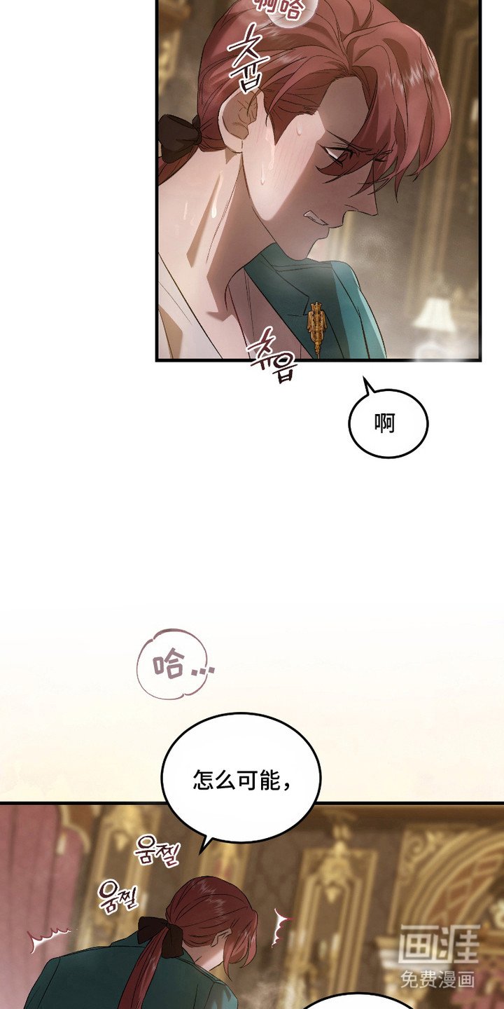 第15章：展示技巧