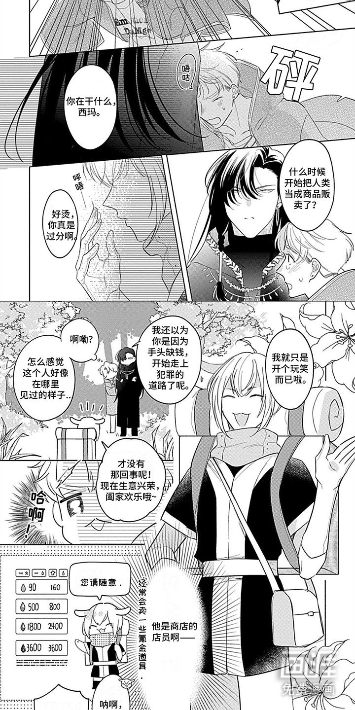 第4章：兔子商人