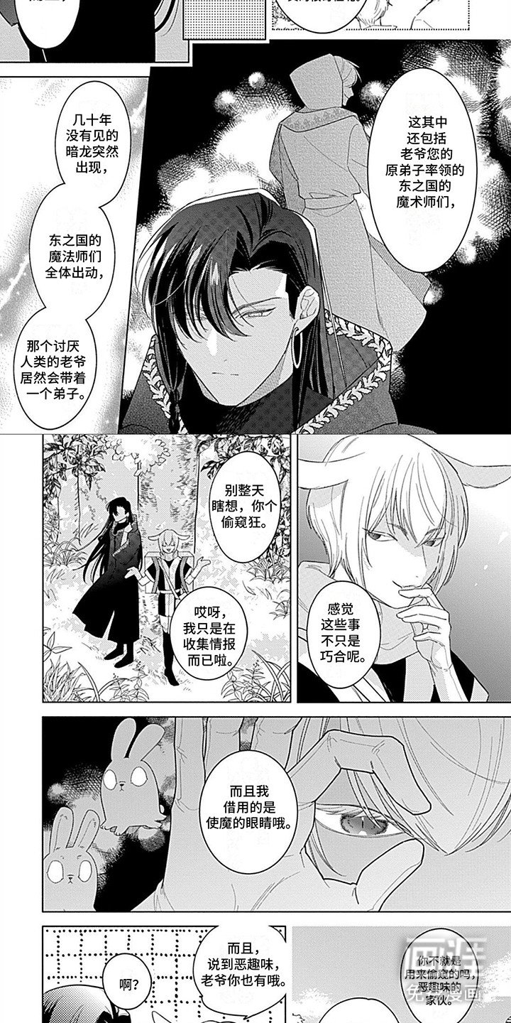 第4章：兔子商人