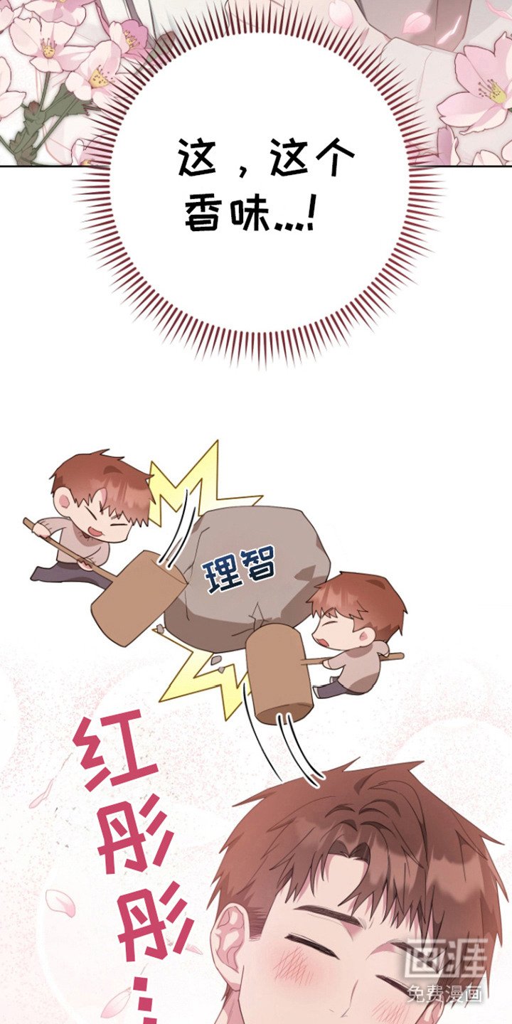第13章：香味 