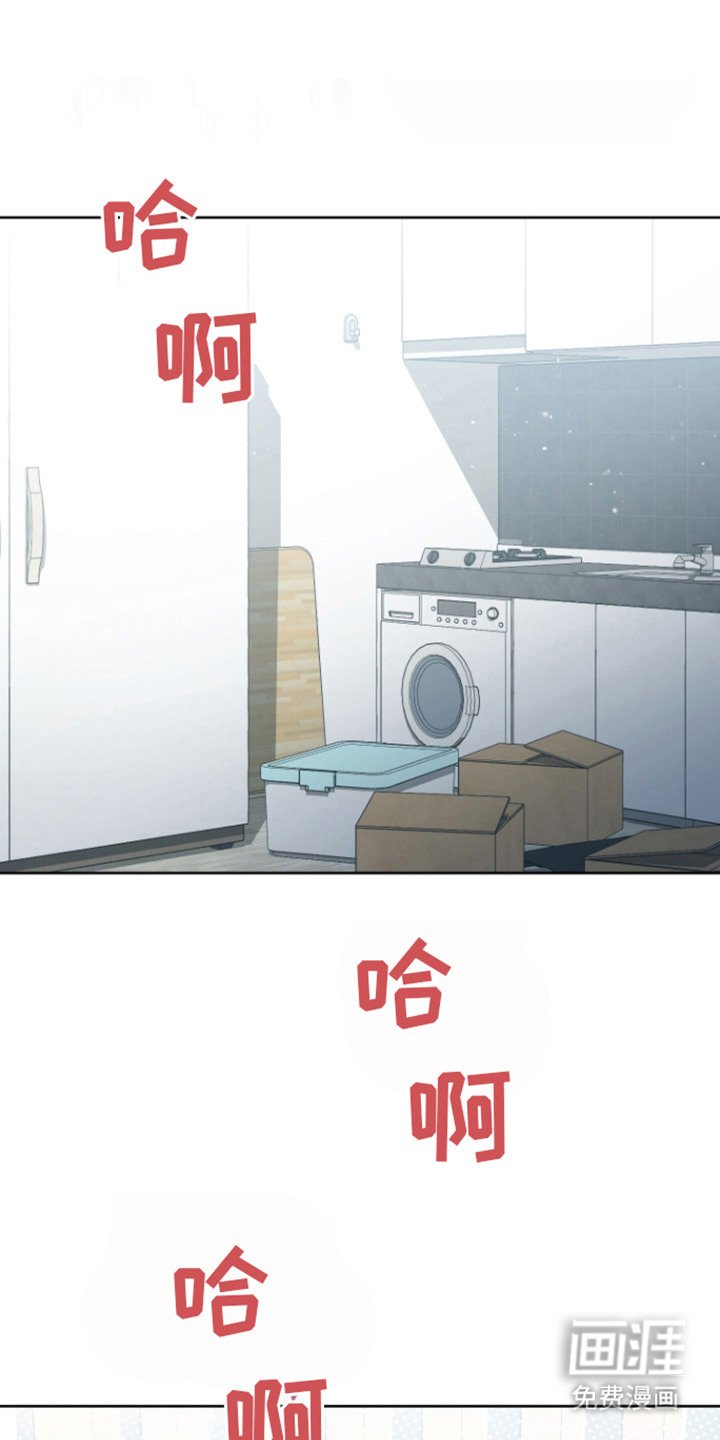 第16章：价值