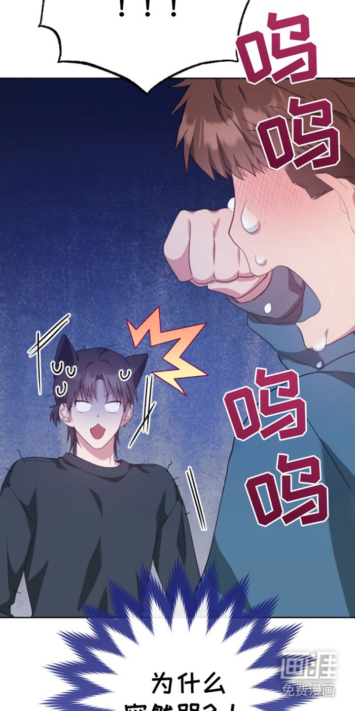第24章：哭了