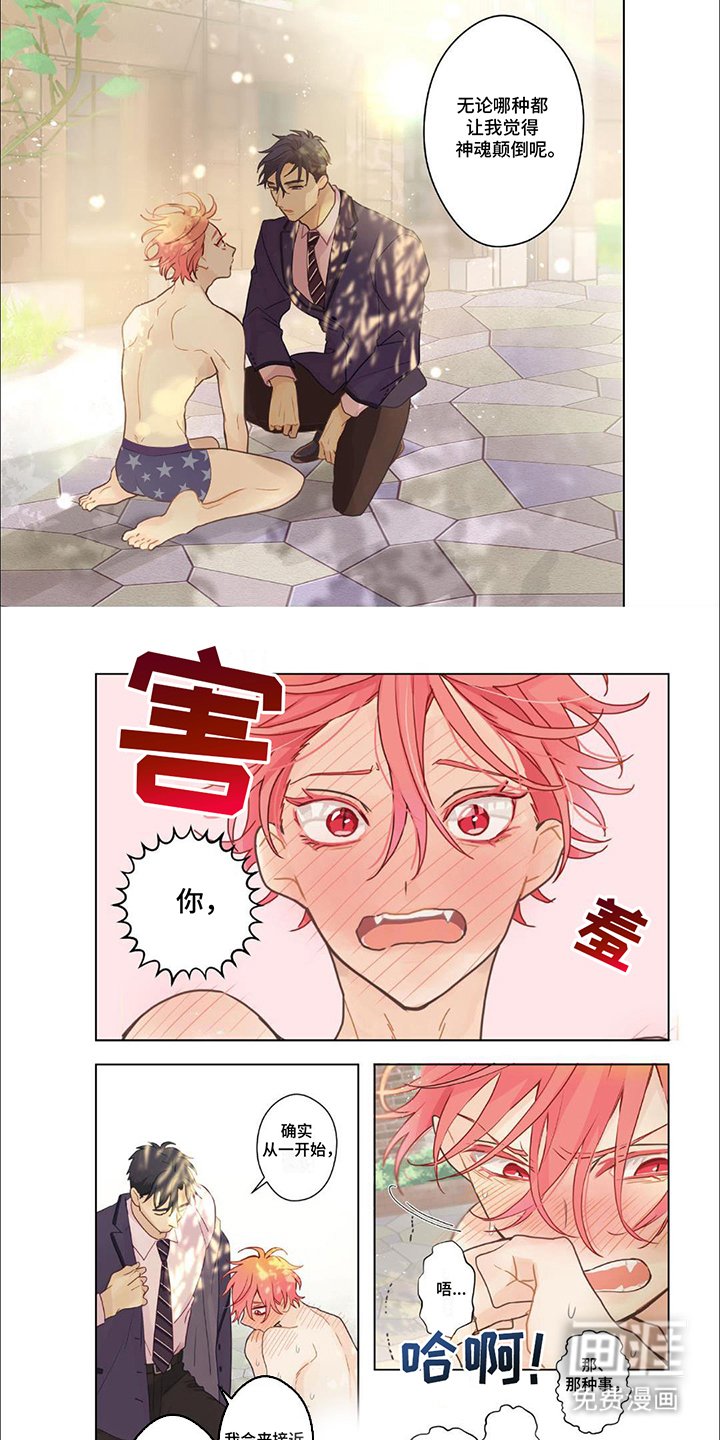 第11章：帮你