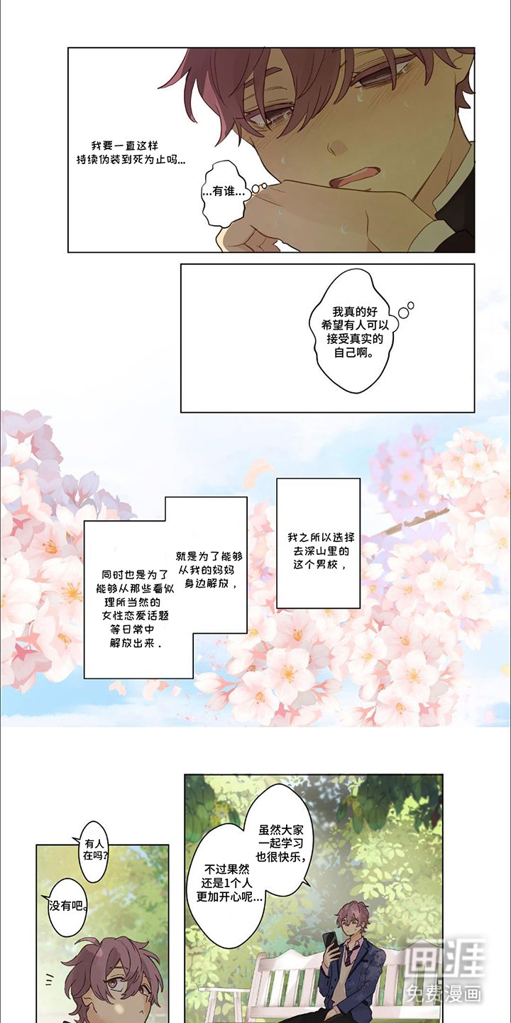 第19章：真实的我