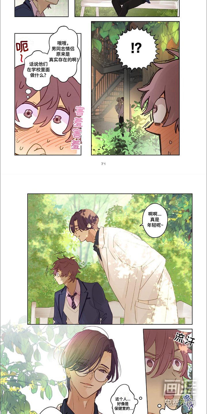 第19章：真实的我