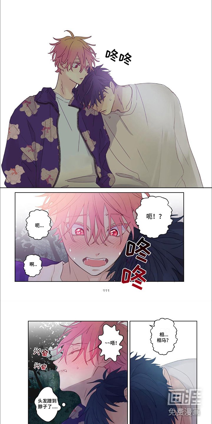 第23章：平静的消散