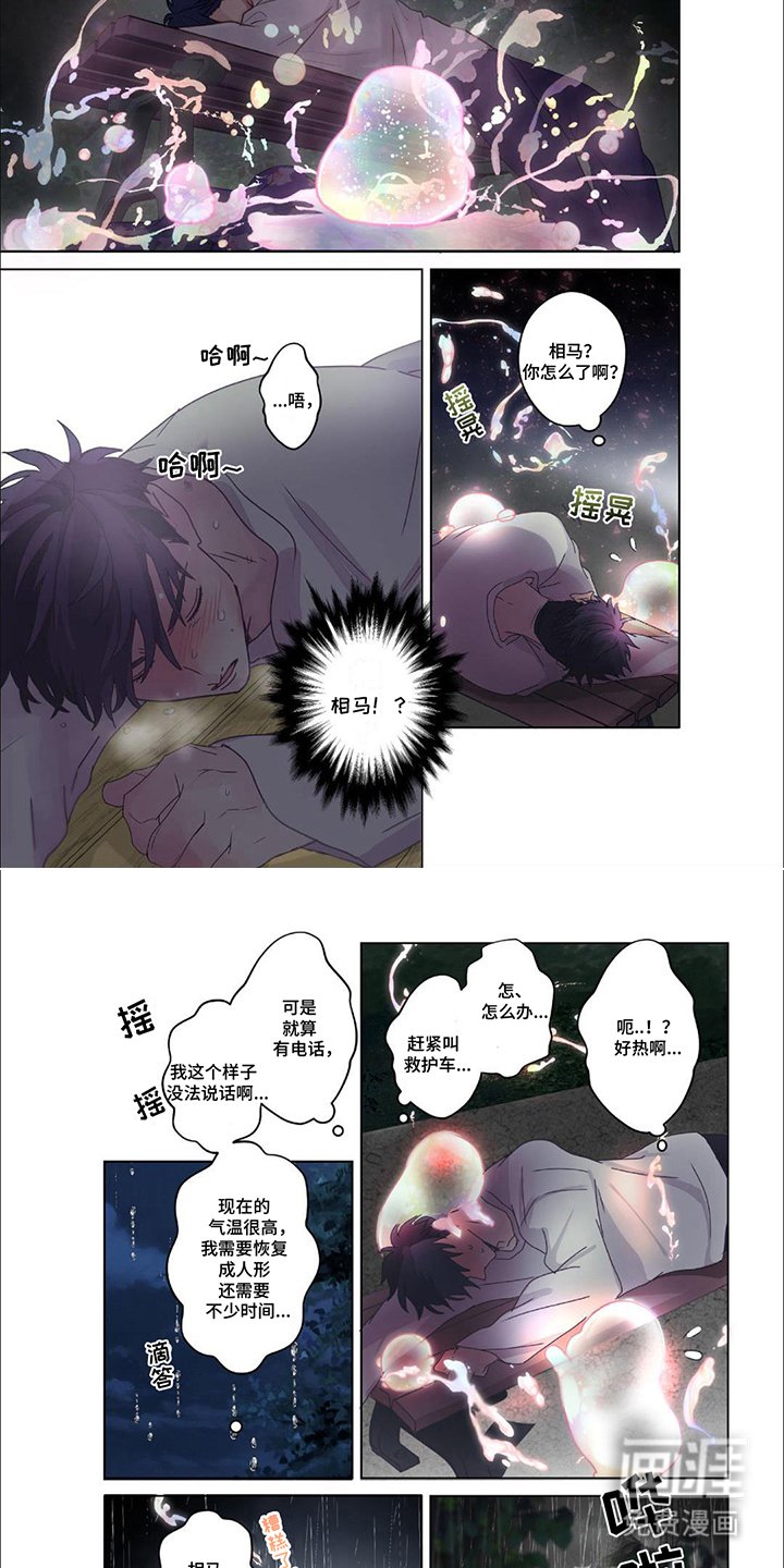 第23章：平静的消散