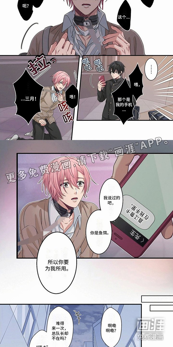 第15章：鱼饵