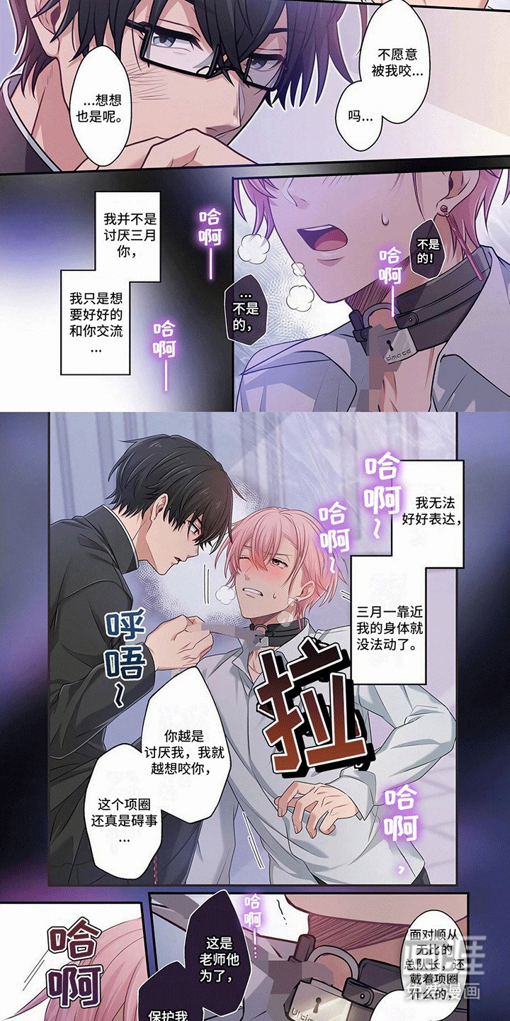 第17章：我会帮助你的