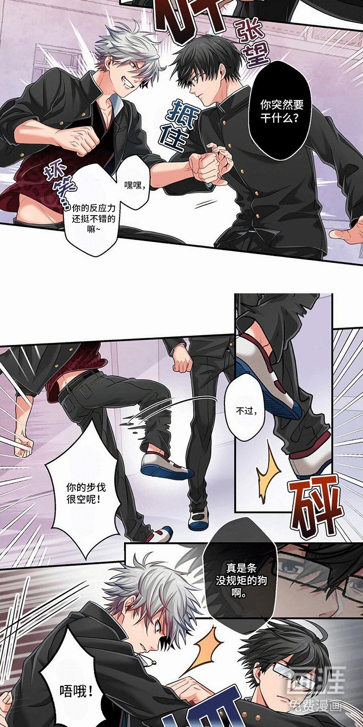 第4章：没打过