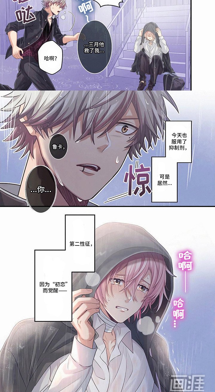 第8章：援救