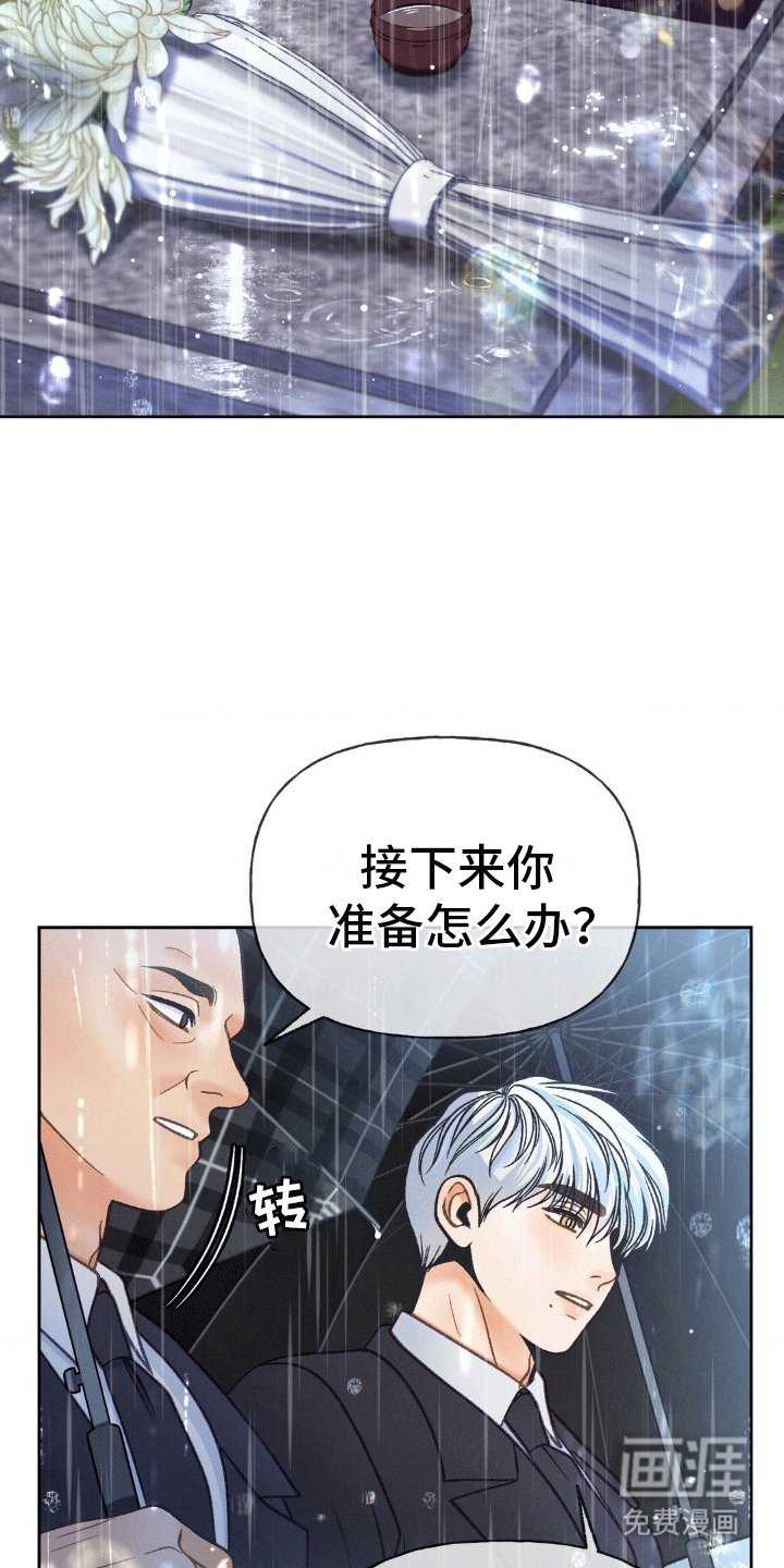 第11章：离开(完结）