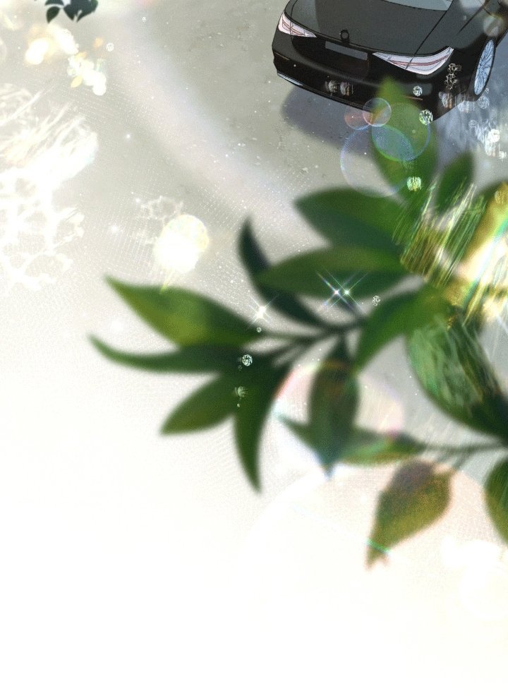 第11章：离开(完结）