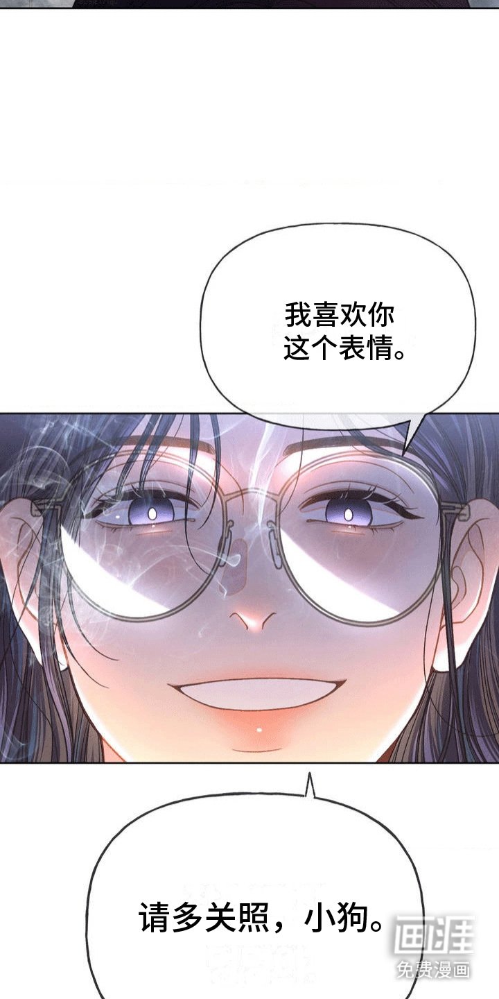 第2章：小猎犬