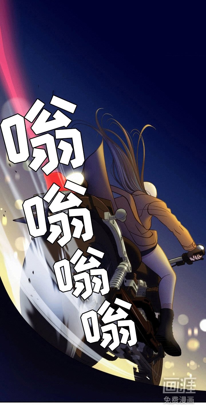 第2章：小猎犬