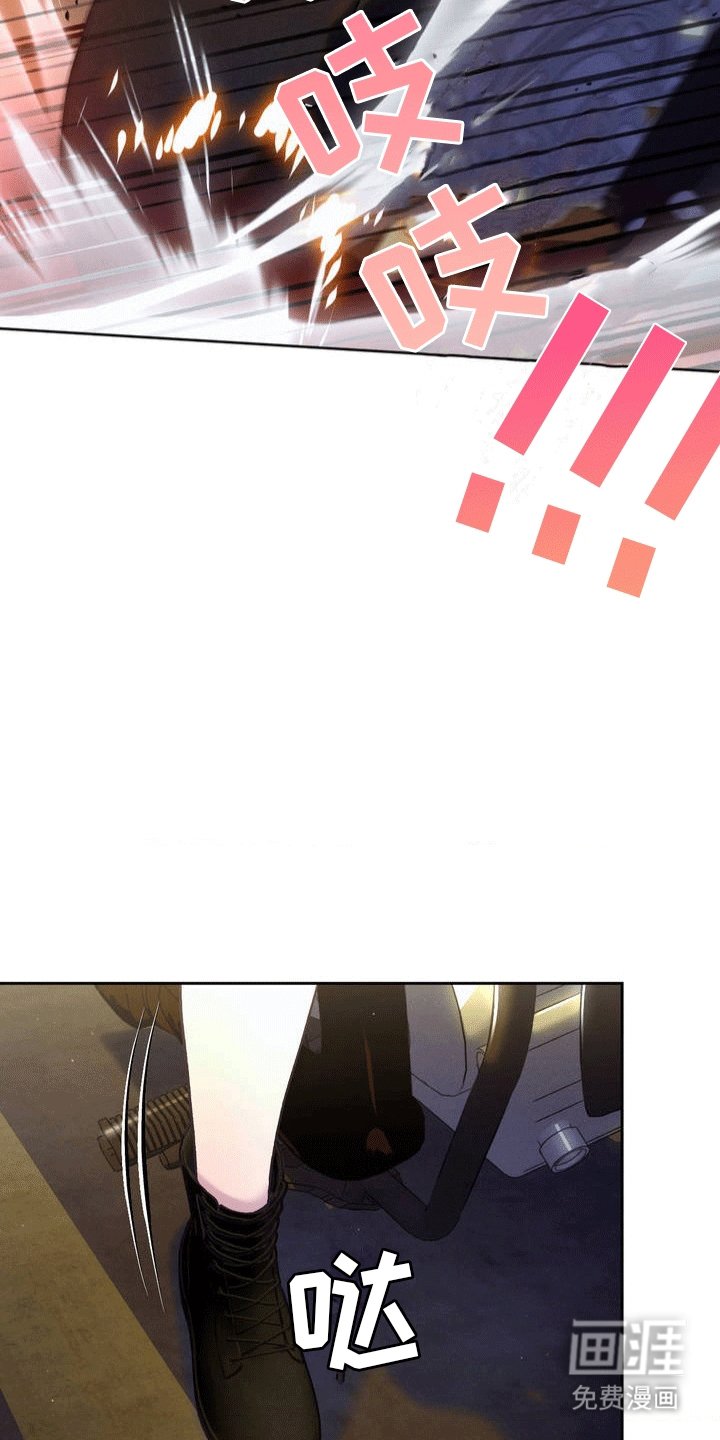 第2章：小猎犬