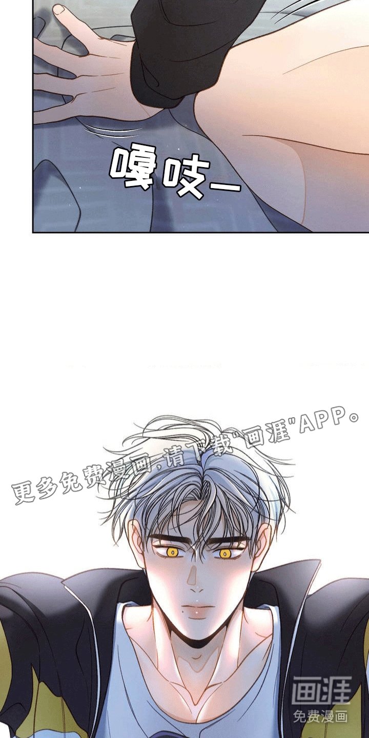 第3章：暴露