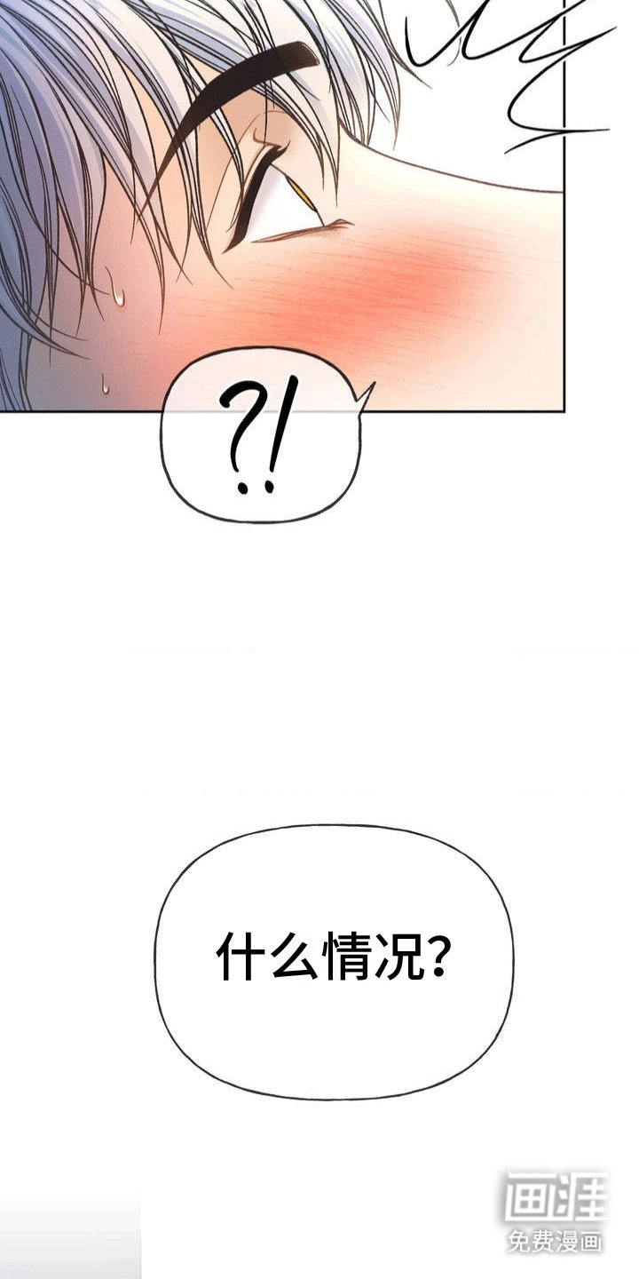 第3章：暴露