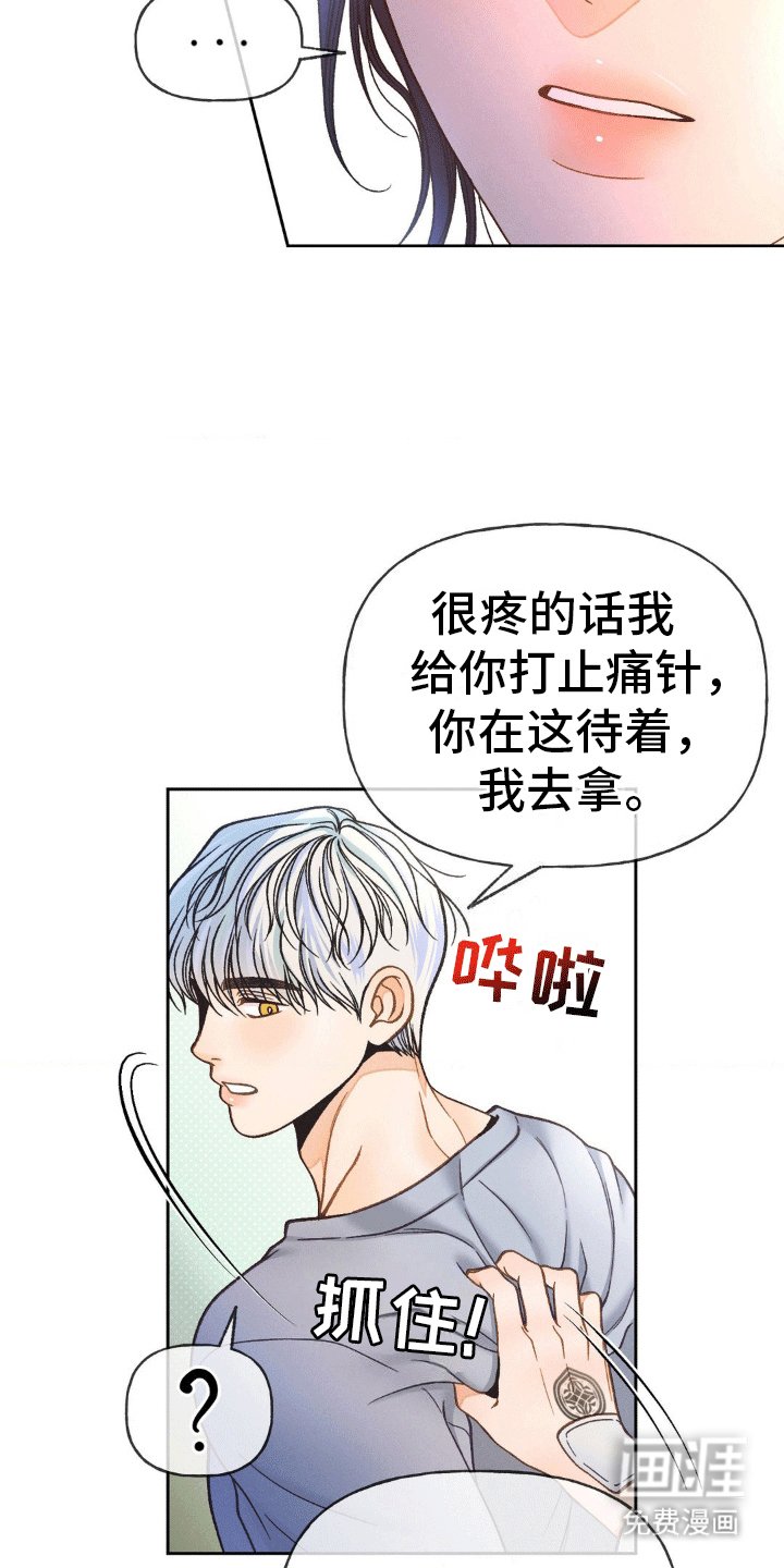 第6章：止疼