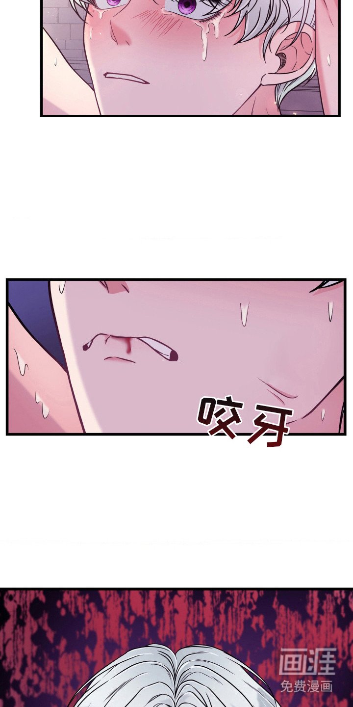 第17章：不见棺材不落泪