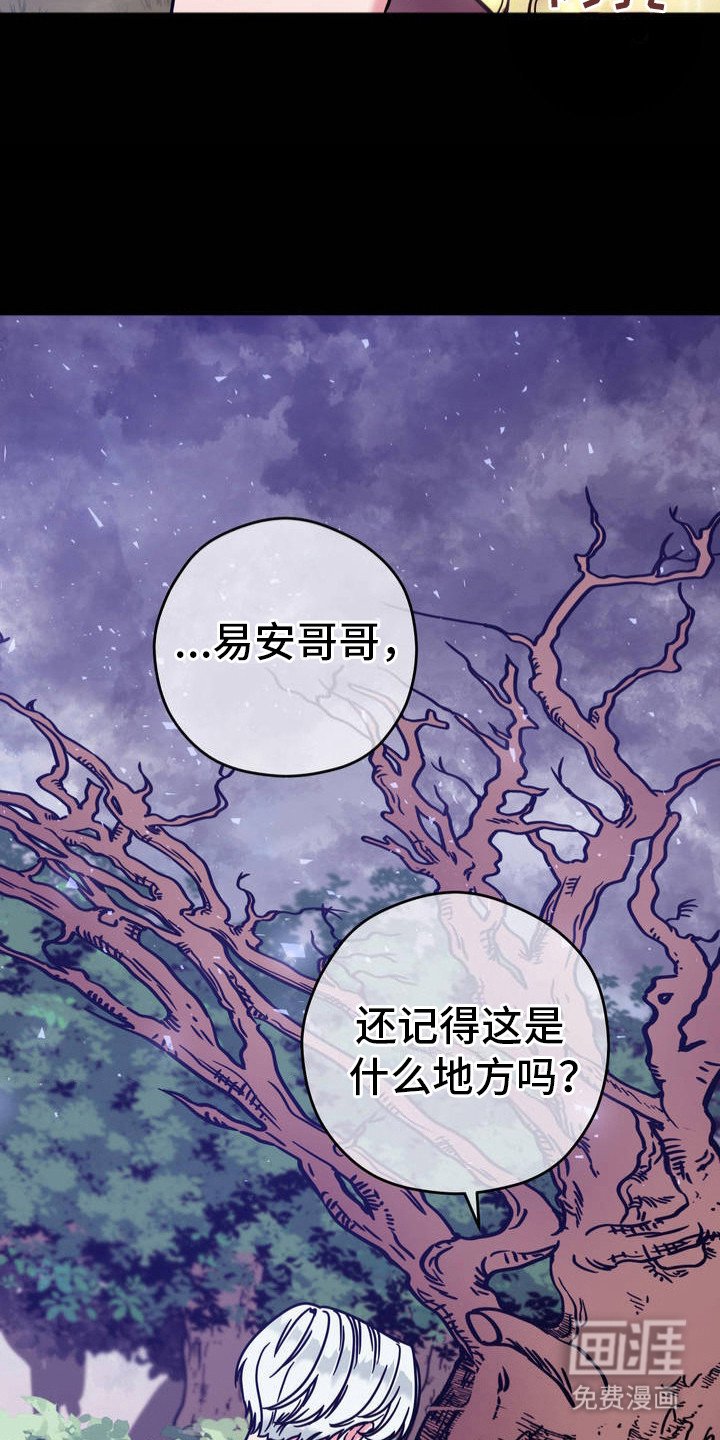 第3章：毁掉