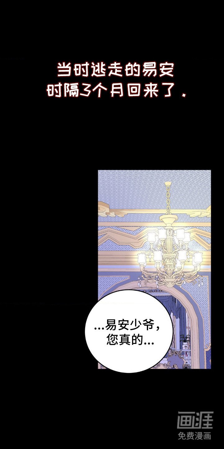 第5章：失忆