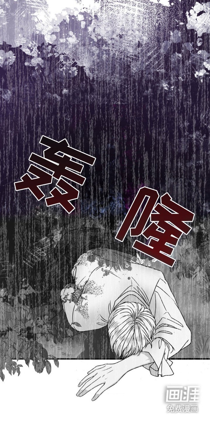 第6章：银发药剂