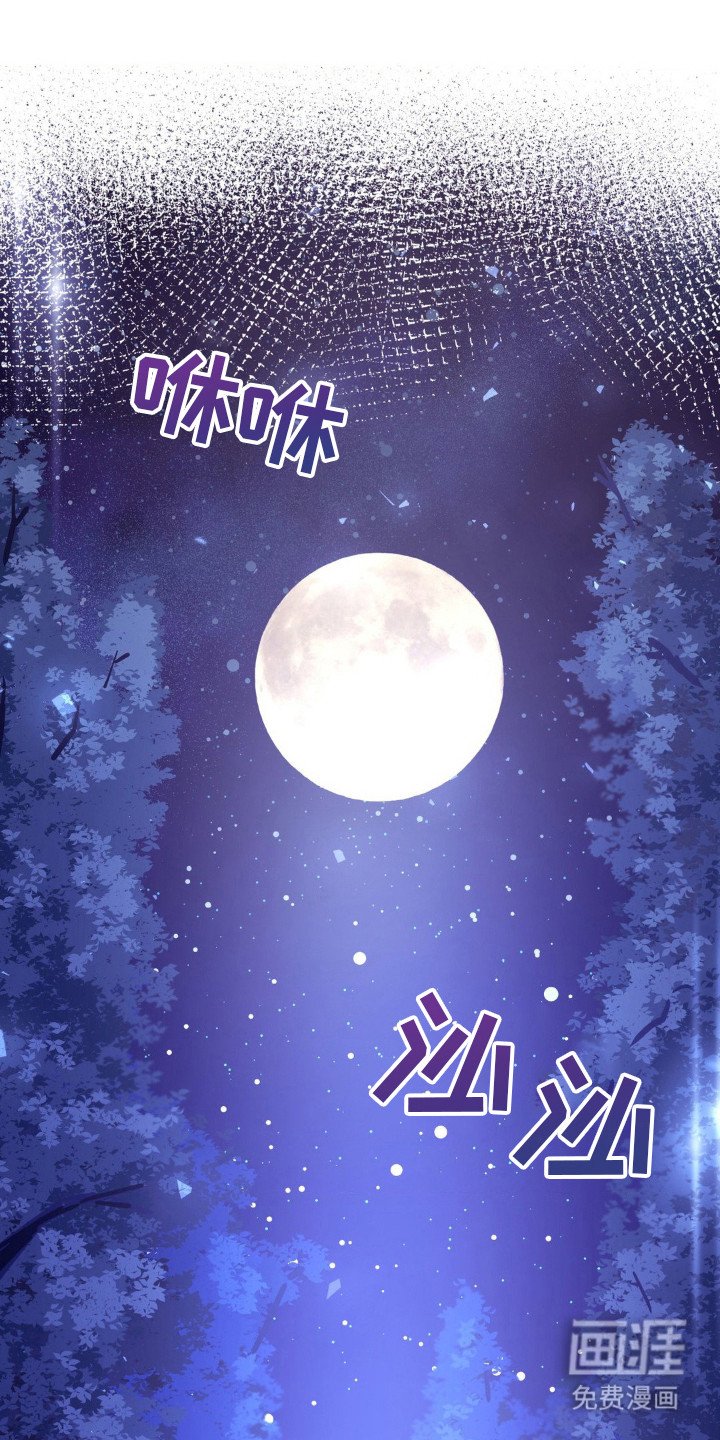 第8章：真面目