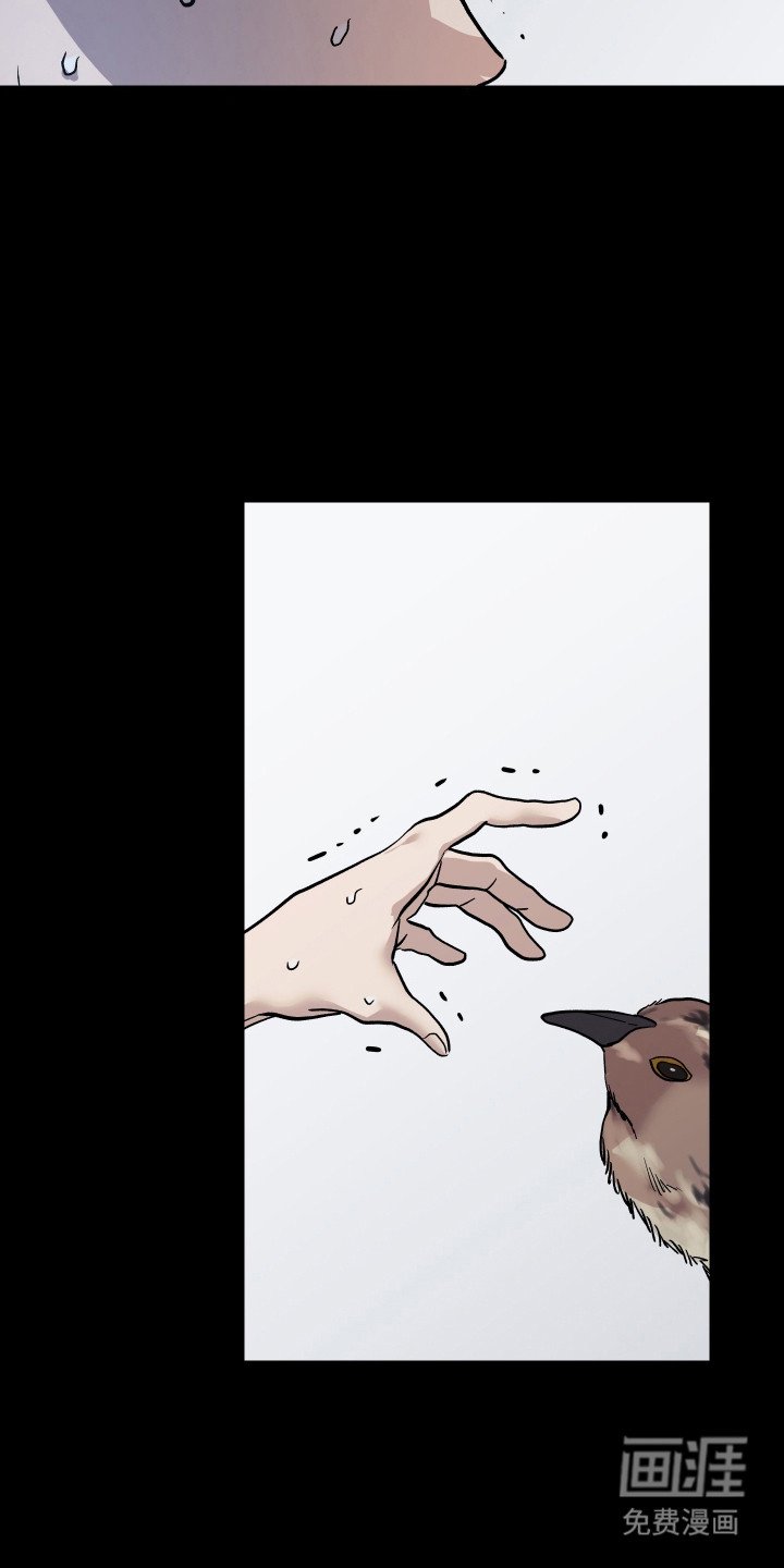 第12章：值得更好的