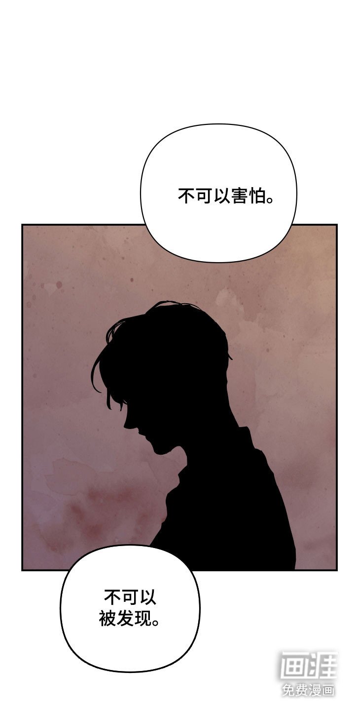第13章：最大的错