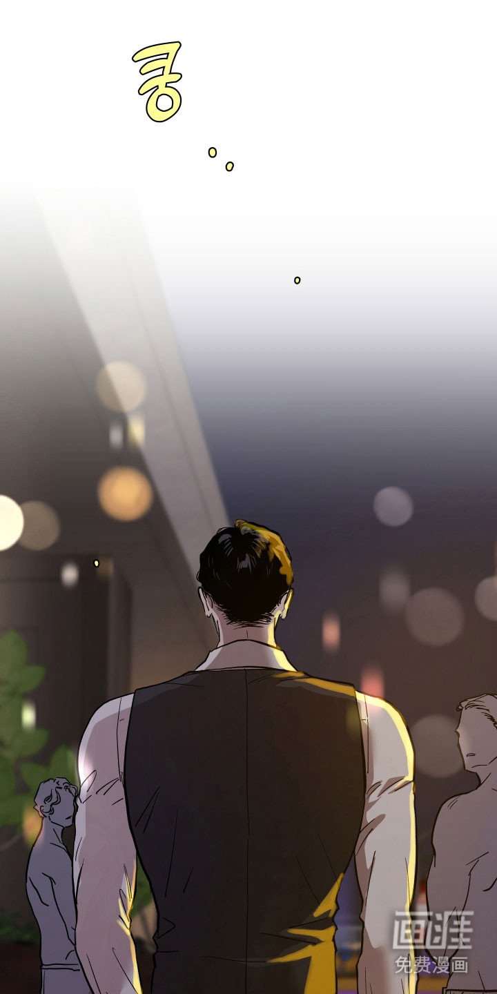 第14章：会出现吗