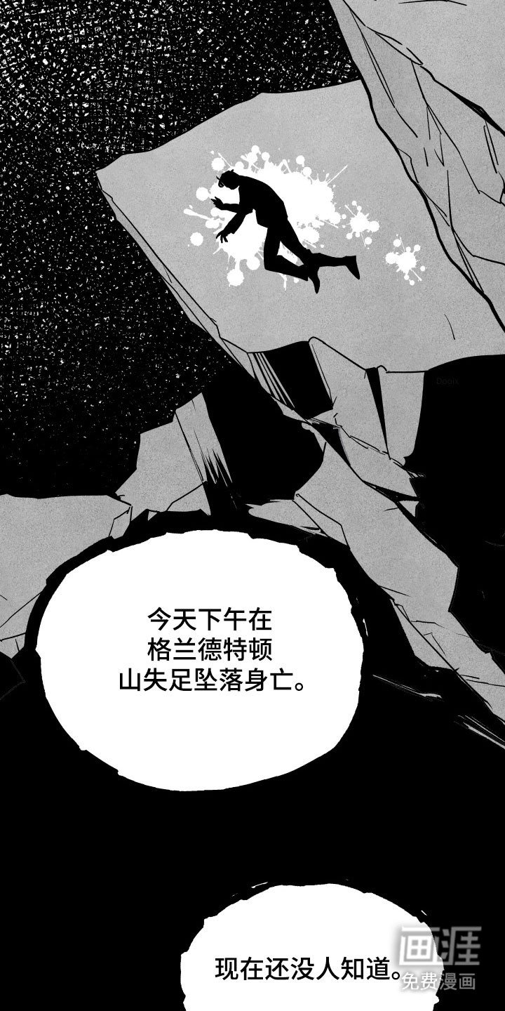 第16章：可以代替