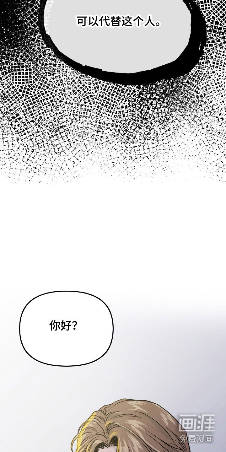 第16章：可以代替