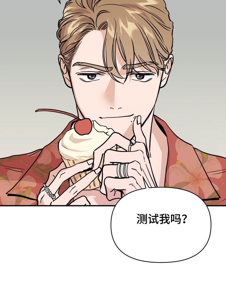 第17章：测试