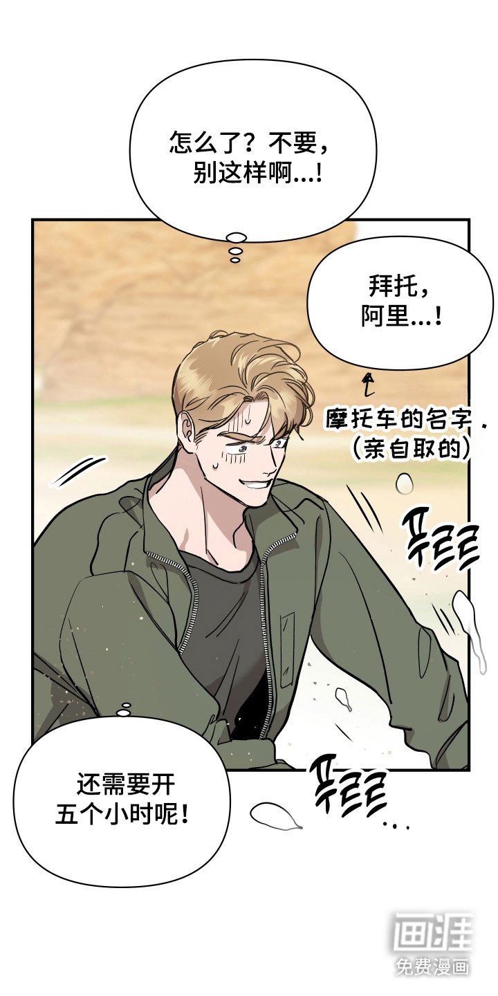 第26章：玫瑰算计