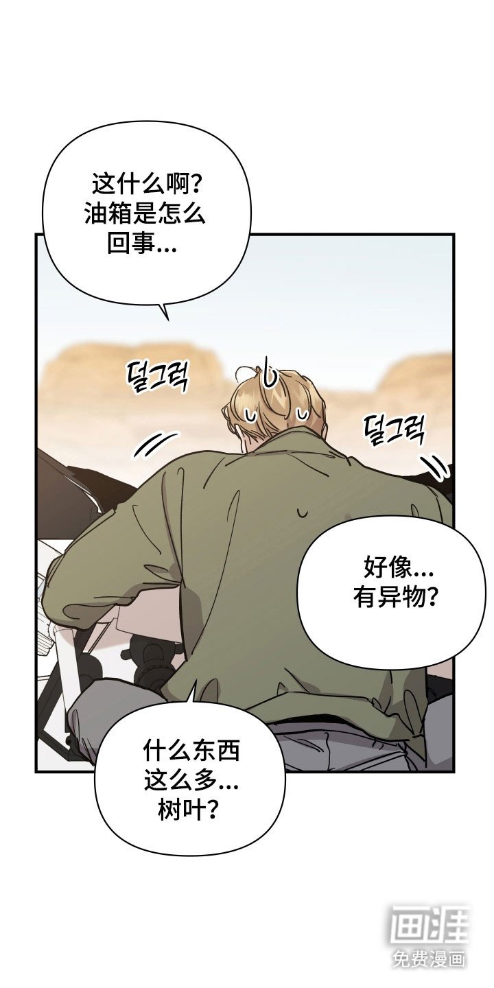 第26章：玫瑰算计