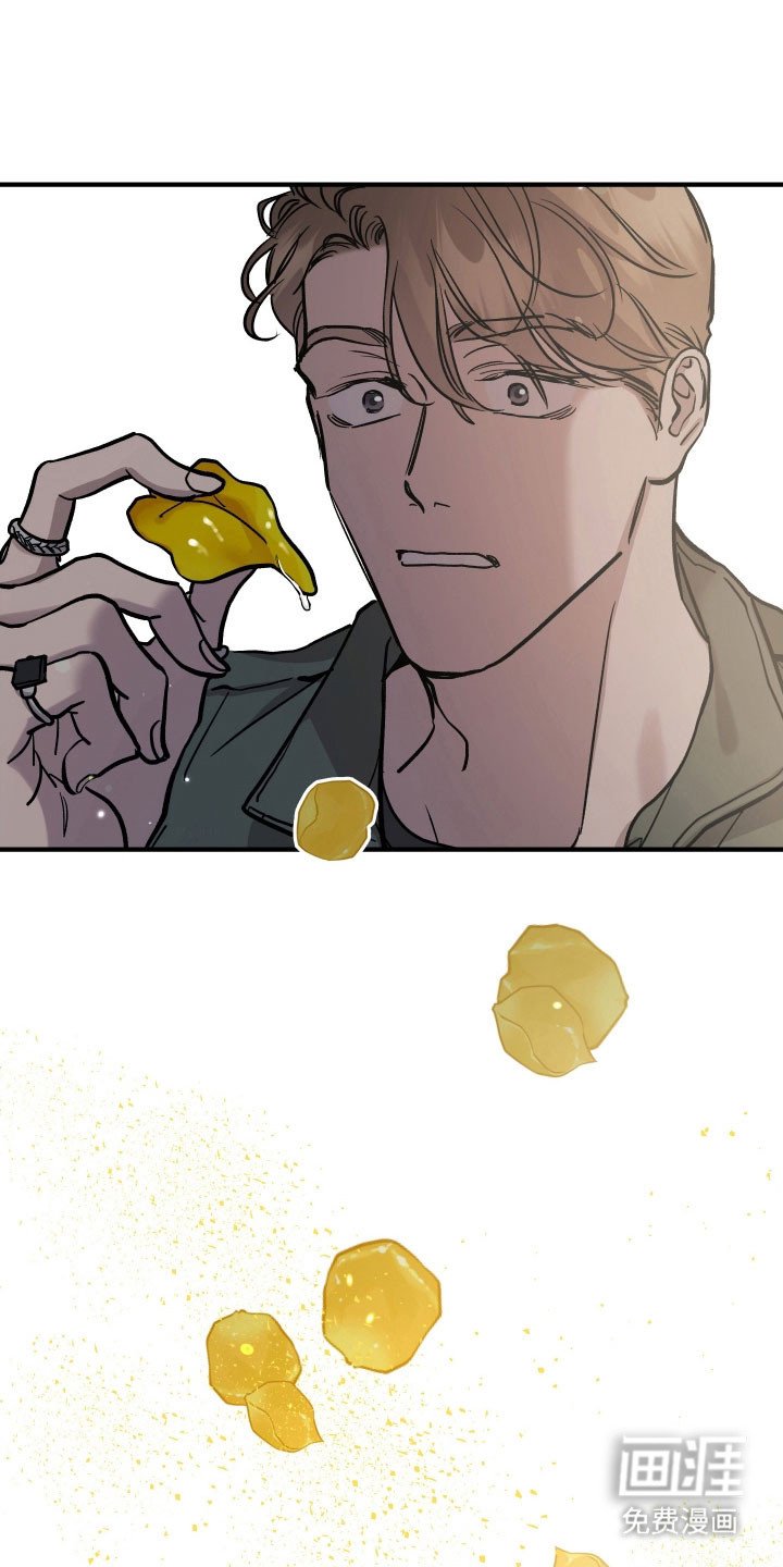 第26章：玫瑰算计