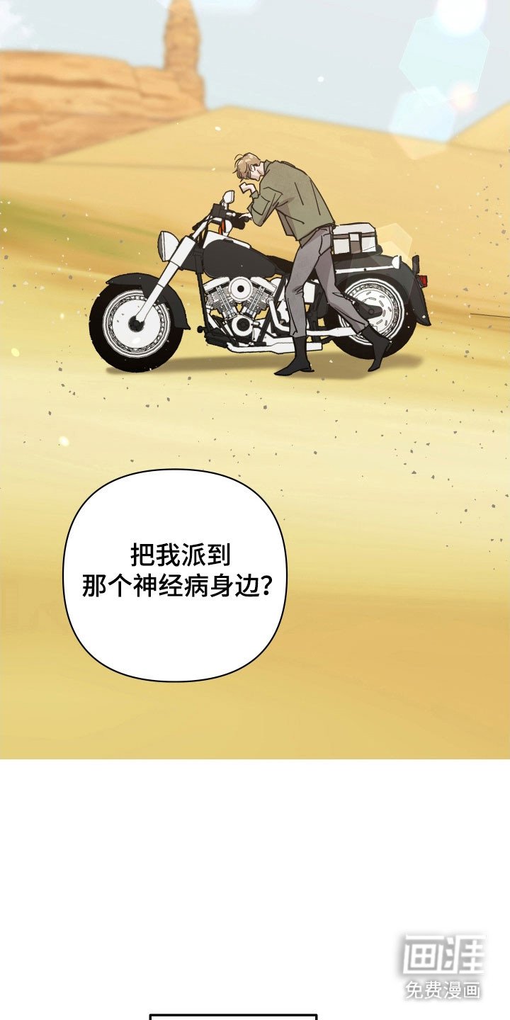 第26章：玫瑰算计