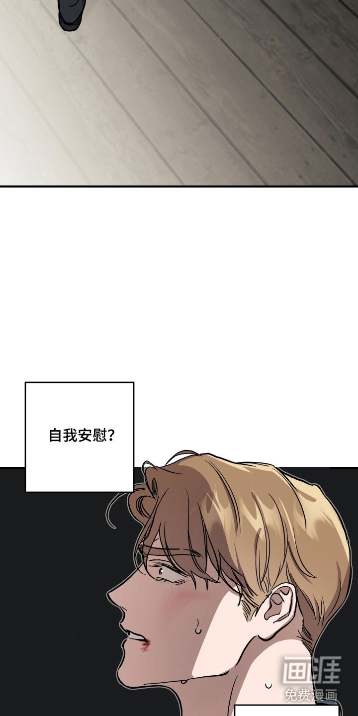 第29章：只能妥协