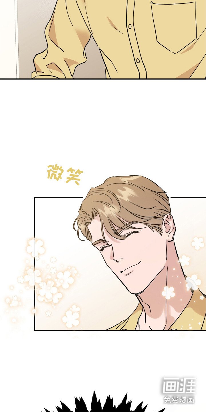 第8章：理想型