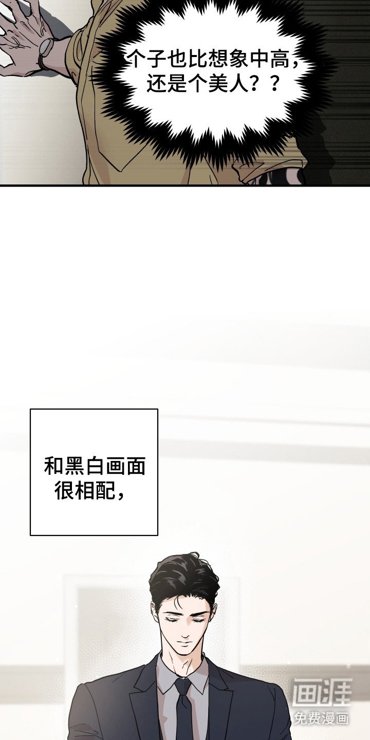 第8章：理想型