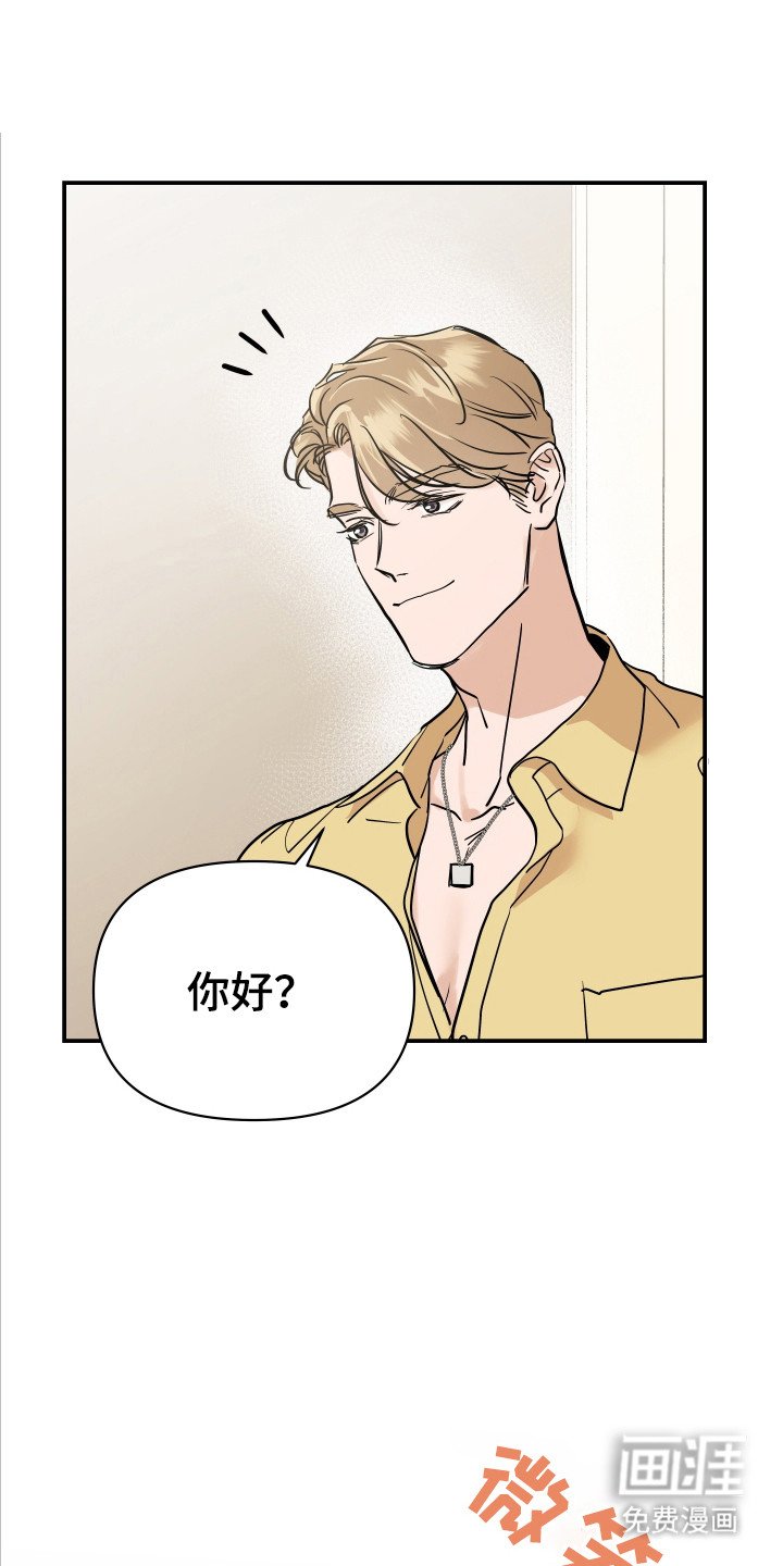 第8章：理想型