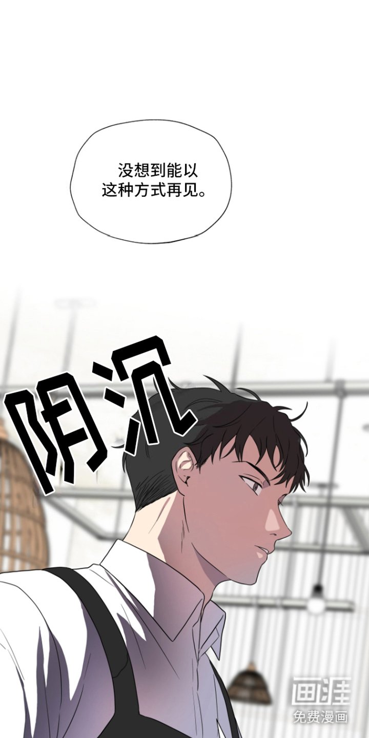 第12章：单纯