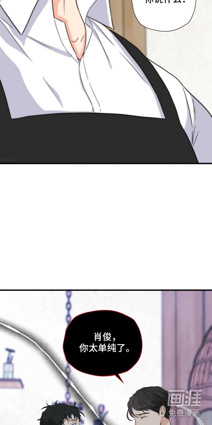 第12章：单纯