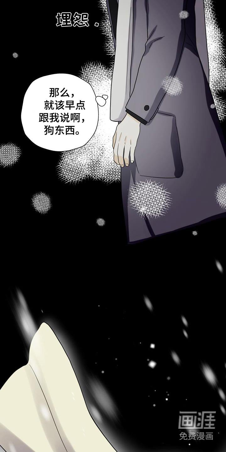 第17章：我希望