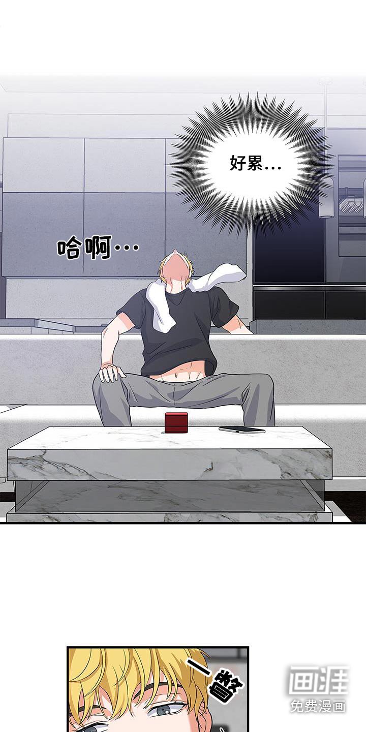 第19章：收留