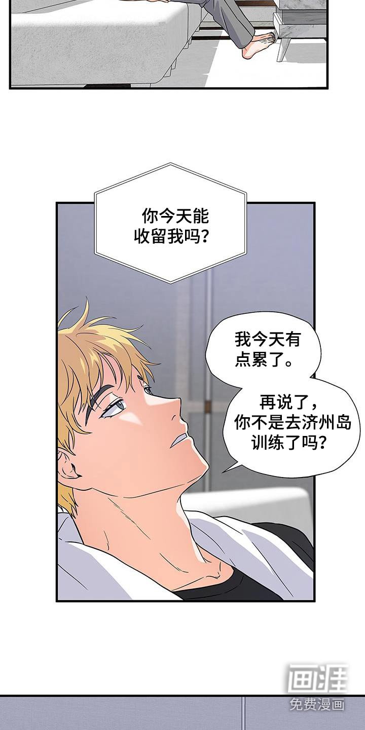 第19章：收留
