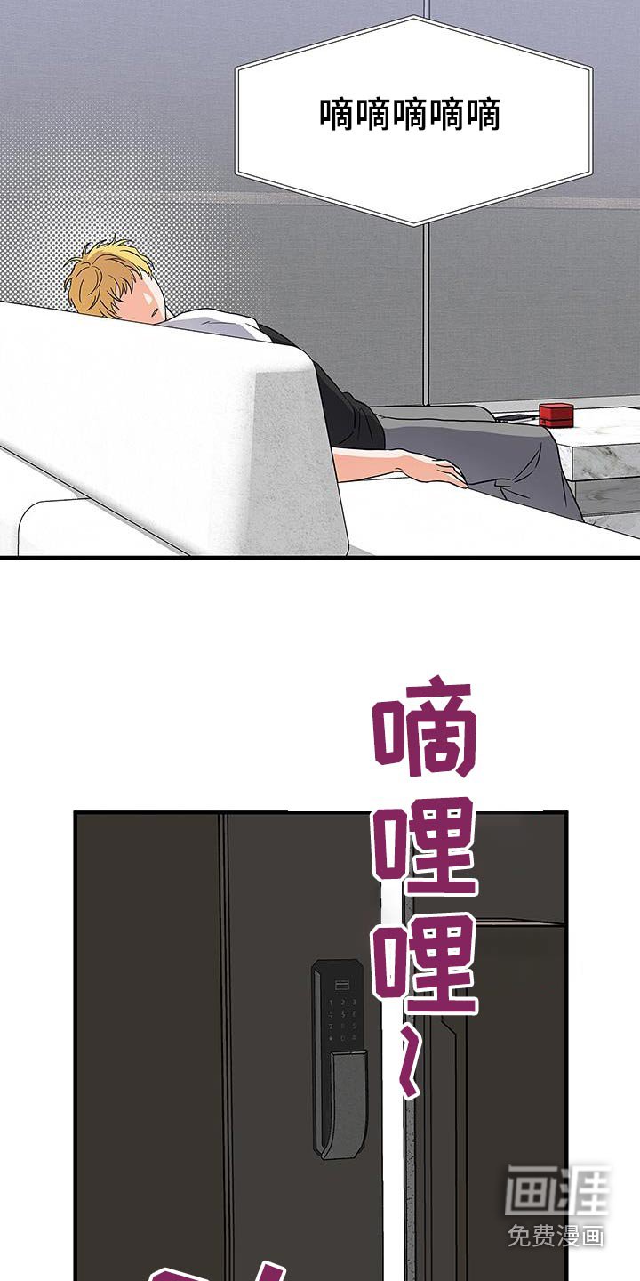 第19章：收留