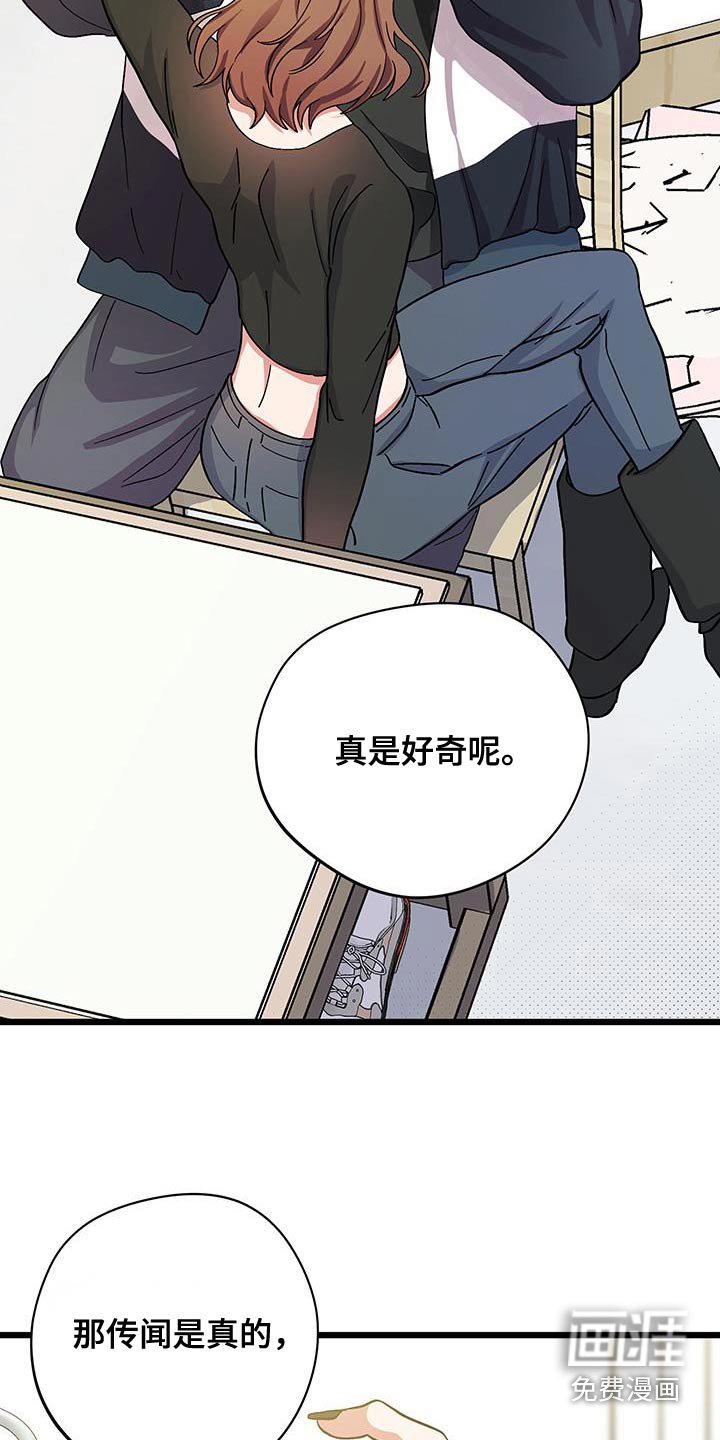 第29章：传闻